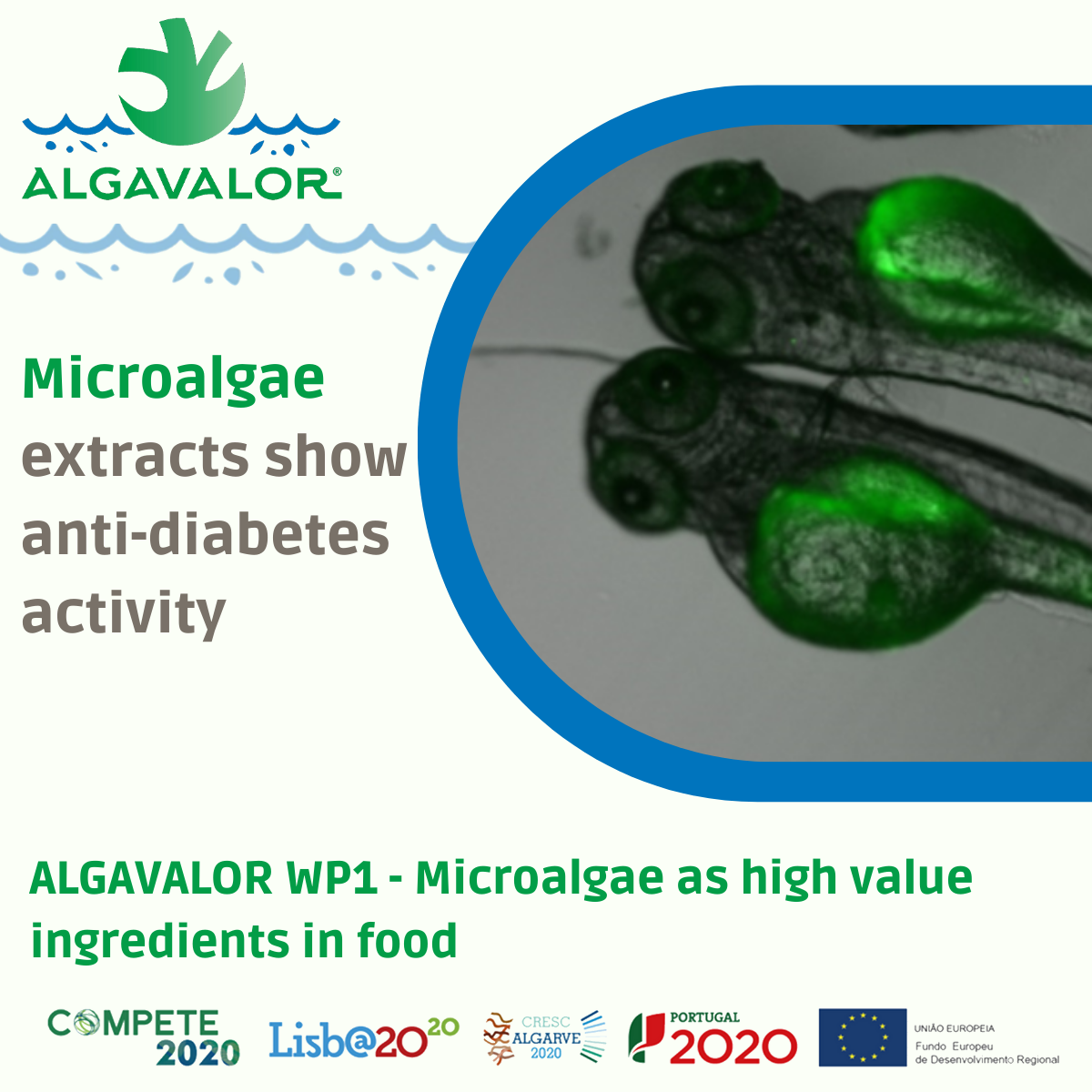 Health Benefits Of Microalgae Extracts AlgaValor